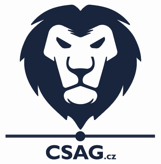 Consulting, Solution Architect, Governance spol s.r.o.